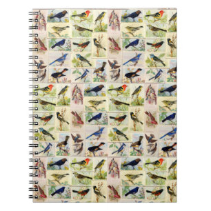 All Sorts of Birds Notebook