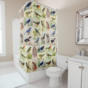 All Sorts of Birds Shower Curtain