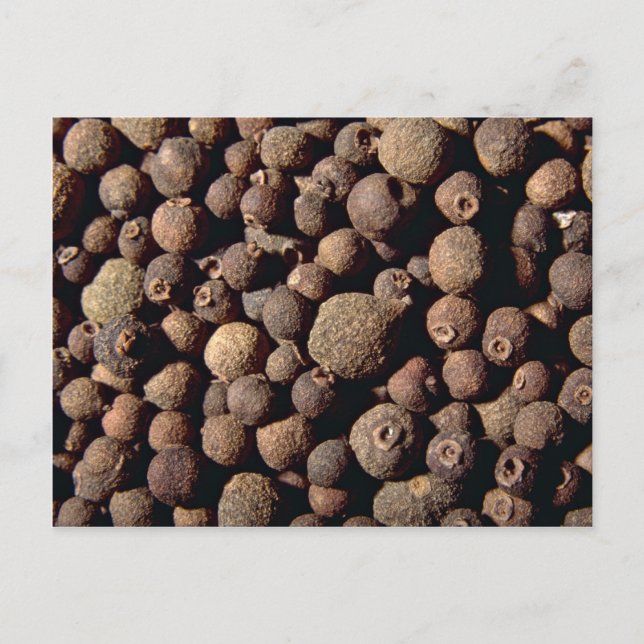 All spice postcard (Front)