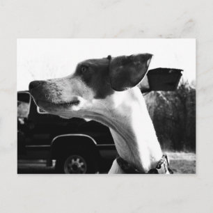 All the Better to Hear You With Postcard