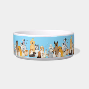 All the dogs together bowl