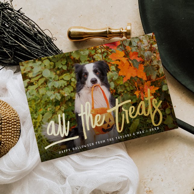 All the Treats | Halloween Pet Photo (Creator Uploaded)
