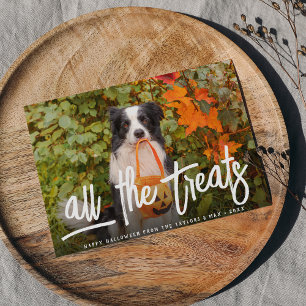 All the Treats Halloween Pet Photo Card