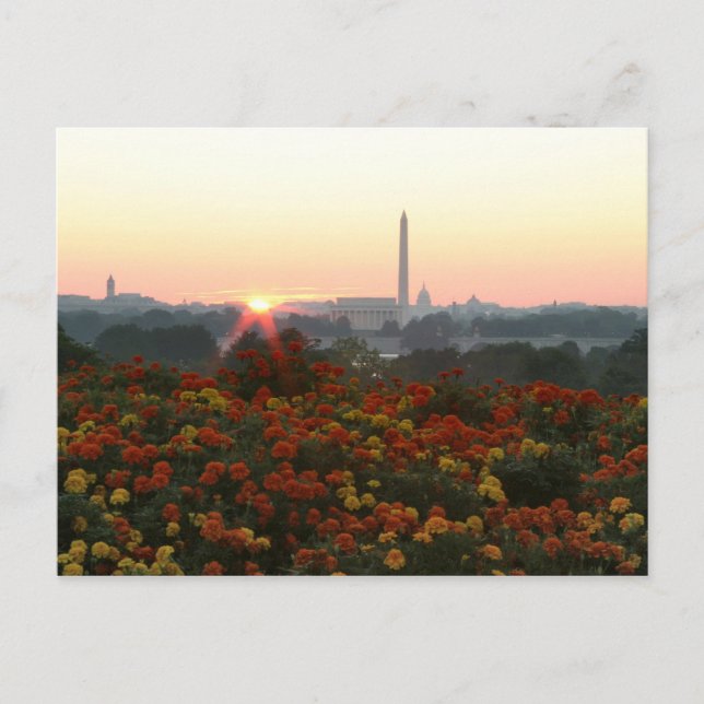 All Three Sunrise Postcard (Front)