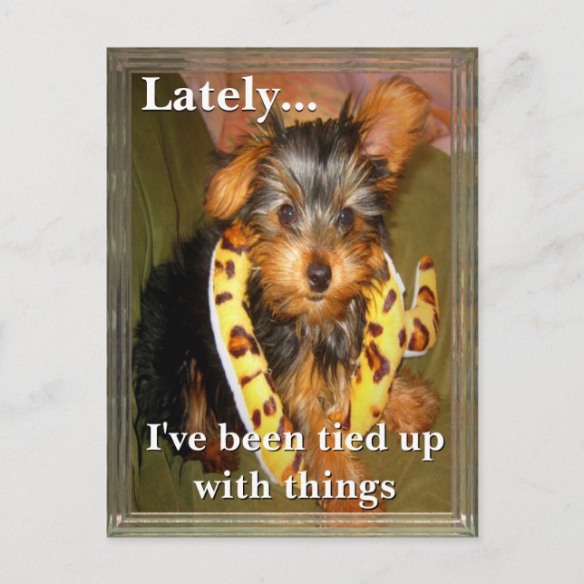 All Tied Up Customisable Postcard (Front)