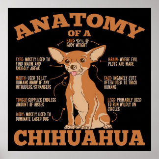 All You Need | Chihuahua Dog | Chihuahua Lover Poster