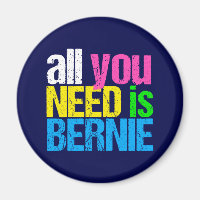 All You Need is Bernie Sanders 2020