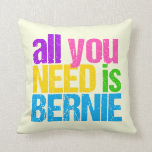 All You Need is Bernie Sanders Cushion