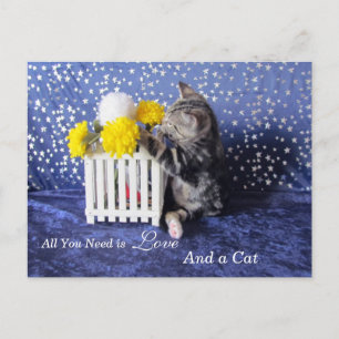 All You Need is Love - and a Cat - Lilo Postcard