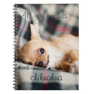 All you need is love and Chihuahua Notebook