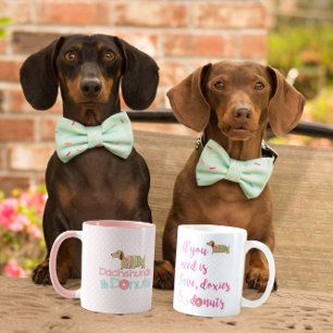 All you need is love dachshund & donuts coffee mug