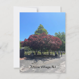 Allaire Village NJ Postcard