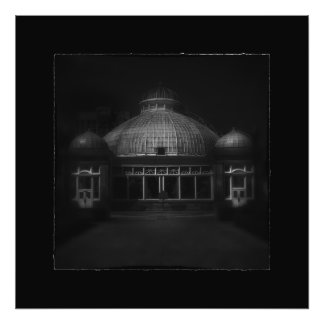 Allan Gardens Conservatory Palm House 7 Border Photo Print