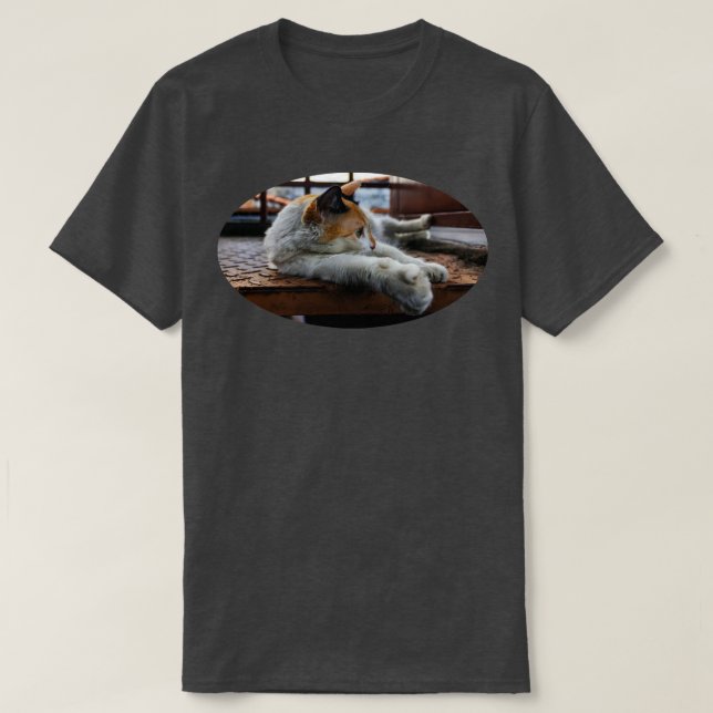 allcats are beautiful T-Shirt (Design Front)