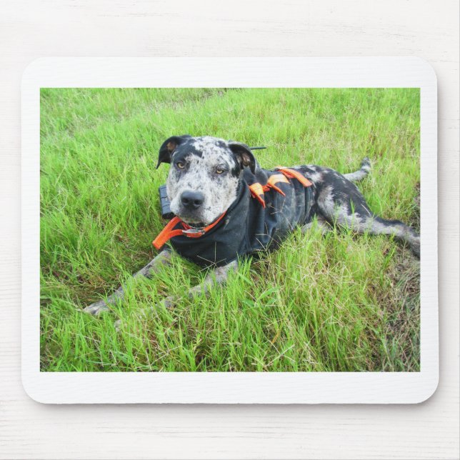alldogscatch mouse pad (Front)
