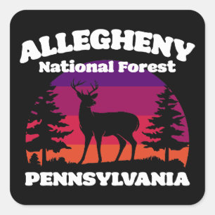 Allegheny National Forest Square Sticker