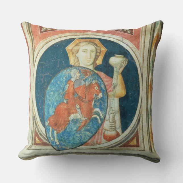 Allegorical figure of Temperance, one of several d Cushion (Front)