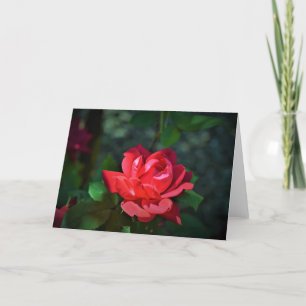 allegoricallittera.blogspot.com Red Rose, rose Card