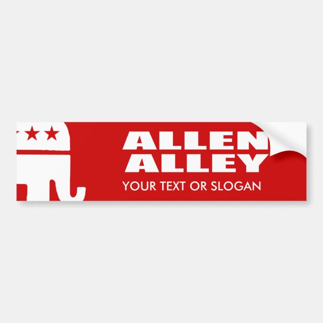ALLEN ALLEY FOR GOVERNOR BUMPER STICKER (Front)