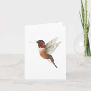Allen's hummingbird card