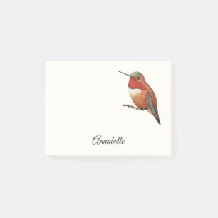 Allen's Hummingbird Notes