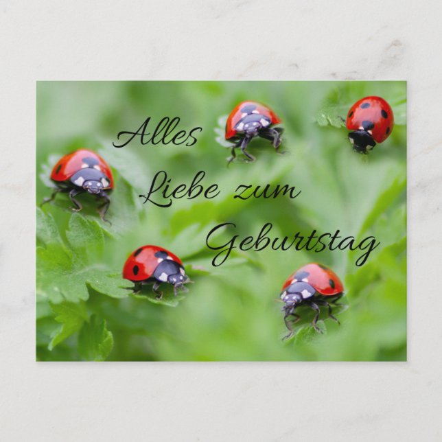 Alles Liebe zum Geburtstag! Postcard (Front)