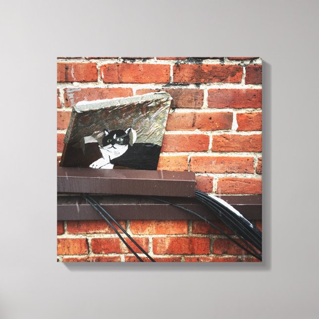alley cat art canvas print (Front)