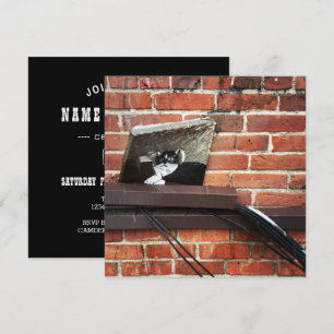 alley cat art invitation
