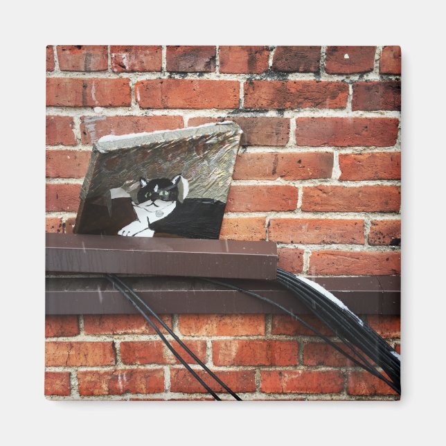 alley cat art magnet (Front)