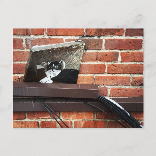 alley cat art postcard (Front)