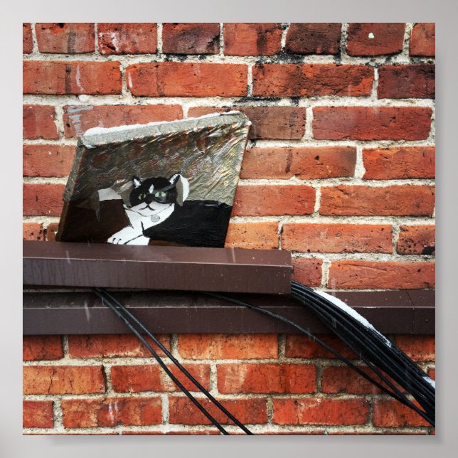 alley cat art poster (Front)