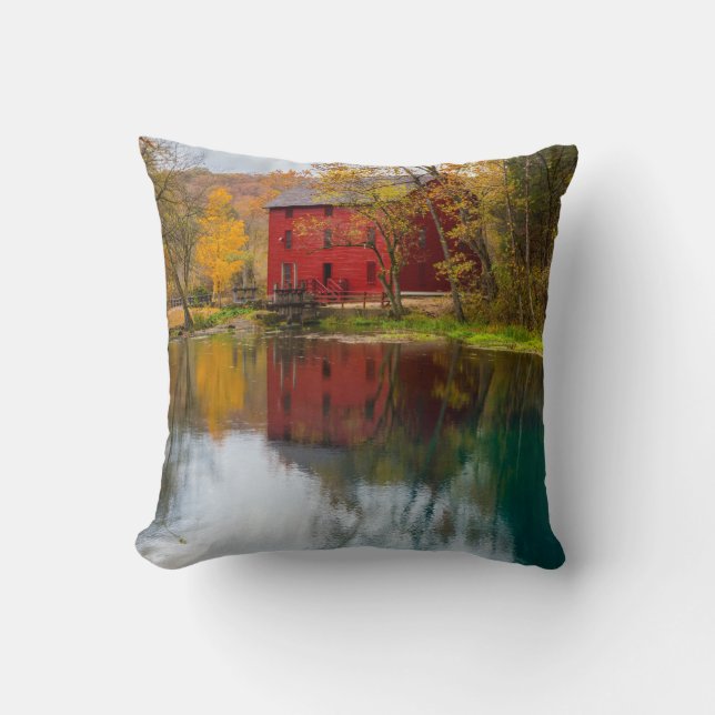 Alley Mill Autumn Cushion (Front)