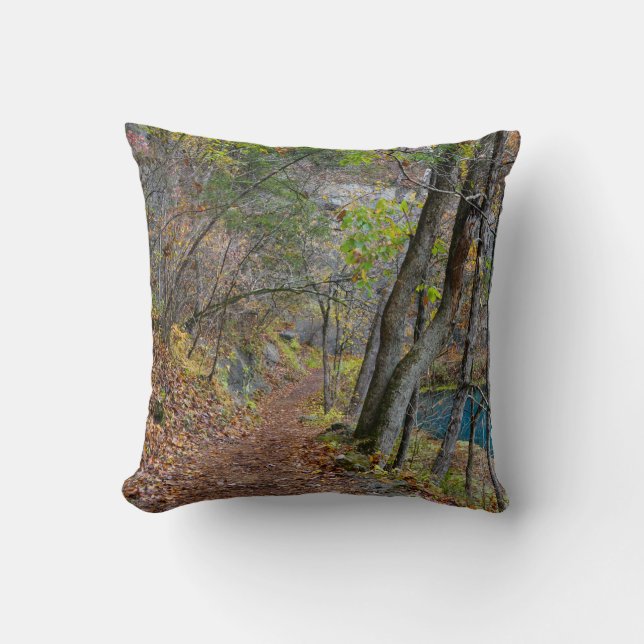 Alley Mill Autumn Walk Cushion (Front)