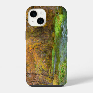 Alley Spring Autumn Water Case-Mate iPhone Case