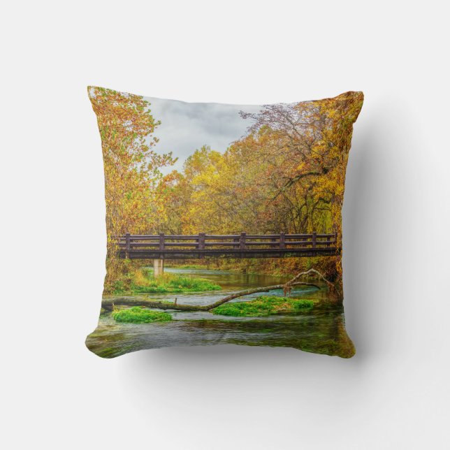 Alley Spring River Cushion (Front)