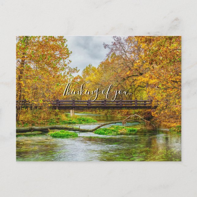 Alley Spring River Thinking Of You Postcard (Front)