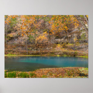 Alley Spring View Poster
