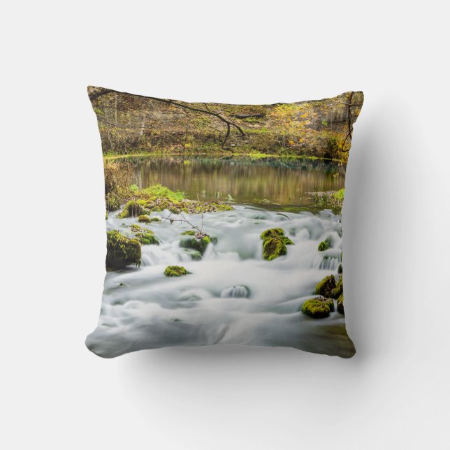 Alley Springs Rapids Cushion (Front)