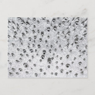 allí, a dryer world postcard