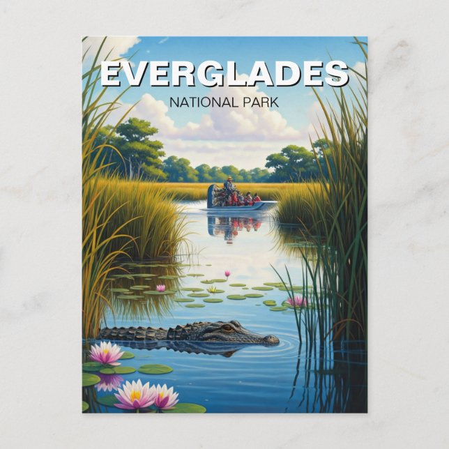 Alligator and Airboat Everglades National Park Postcard (Front)