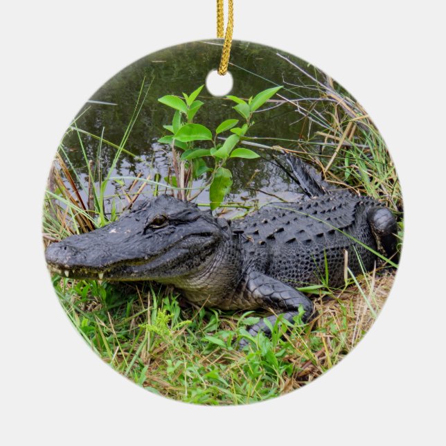 Alligator and roseate spoonbill ornament (Front)