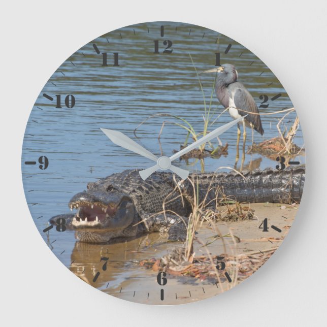 Alligator and Tricolored heron Large Clock (Front)