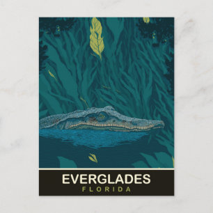 Alligator at Everglades, Florida, Travel Postcard