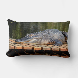 Alligator at Homosassa Springs Wildlife State Park Lumbar Cushion
