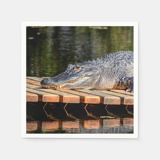 Alligator at Homosassa Springs Wildlife State Park Napkin (Front)