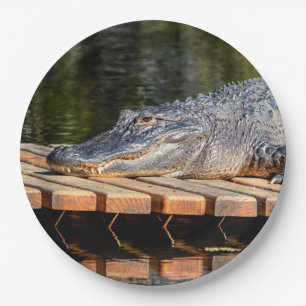 Alligator at Homosassa Springs Wildlife State Park Paper Plate