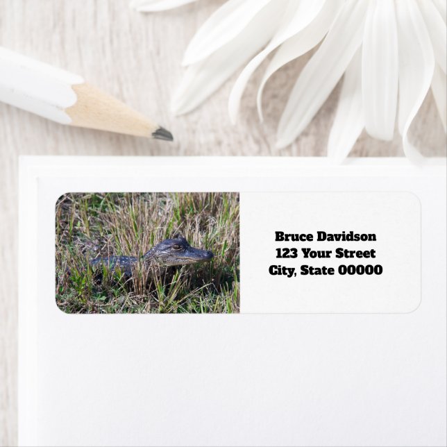 Alligator Baby Cute Personalise Return Address  (Insitu)