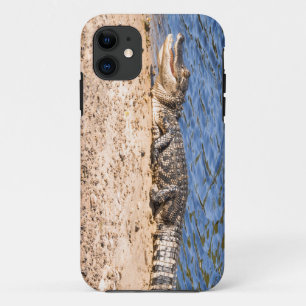 Alligator baby sunning Case-Mate iPhone case