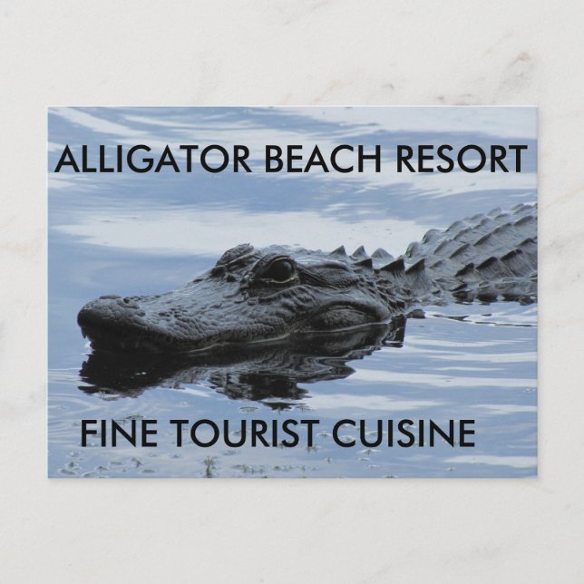 Alligator Beach Resort Postcard (Front)