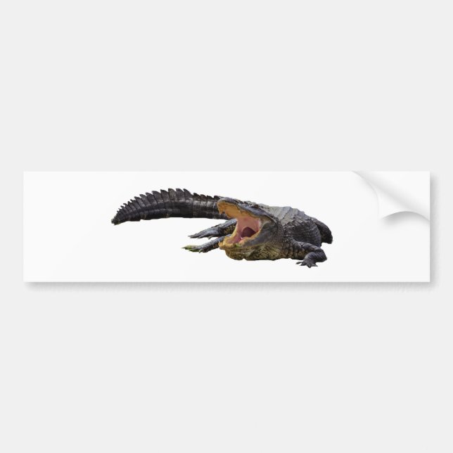 Alligator Bumper Sticker (Front)